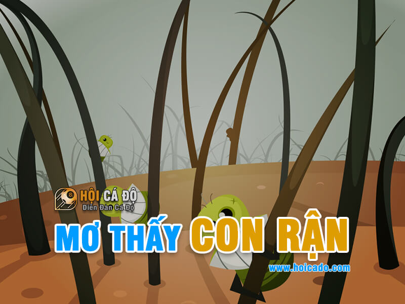 Mơ thấy con Rận đánh số nào chuẩn ?