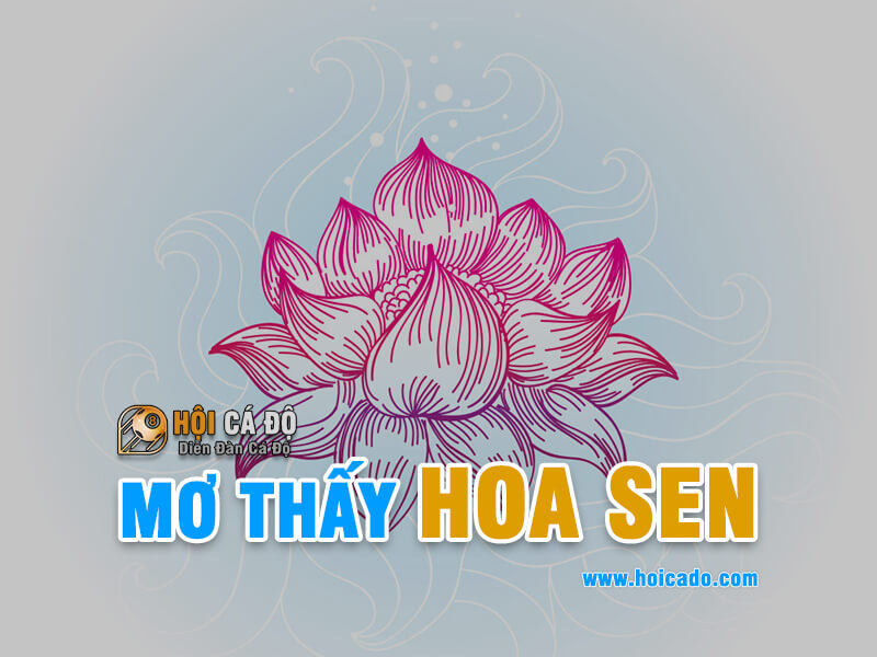 Mơ thấy hoa sen đánh con gì ?